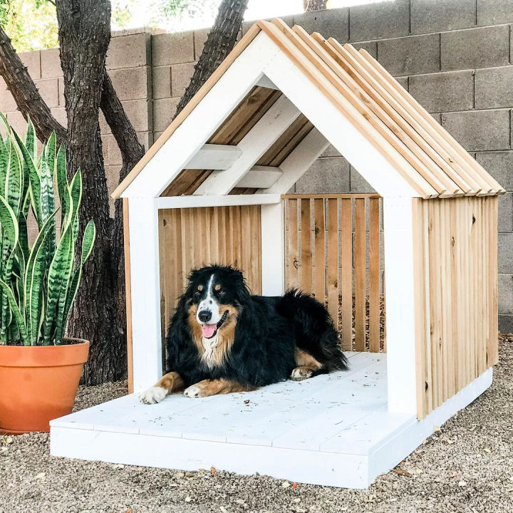 DIY large dog house plan