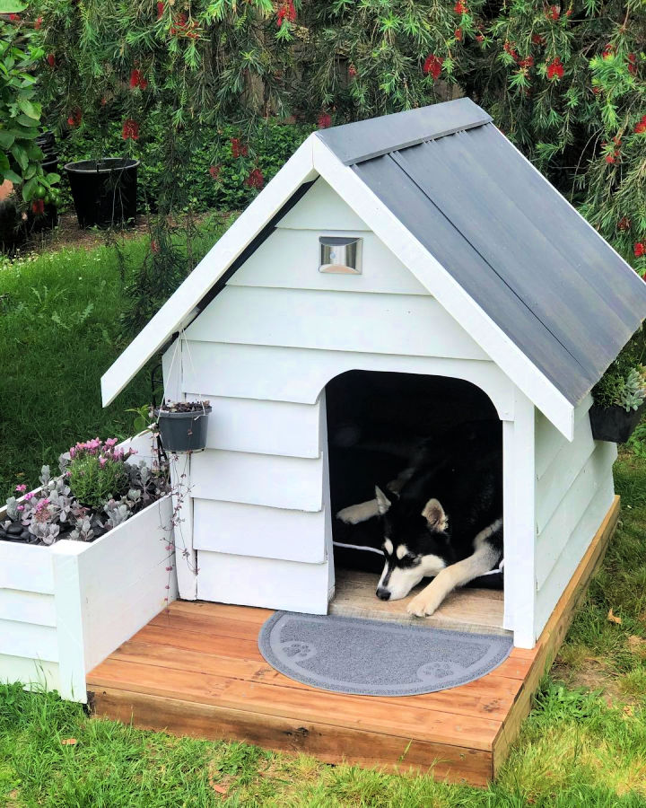How To Build A Diy Dog House (Step By Step Instructions)
